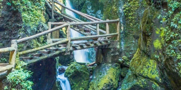 Qingcheng Mountain,family trip,chengdu tour.jpg