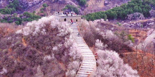 1742277142902.jpg Great Wall8.jpg