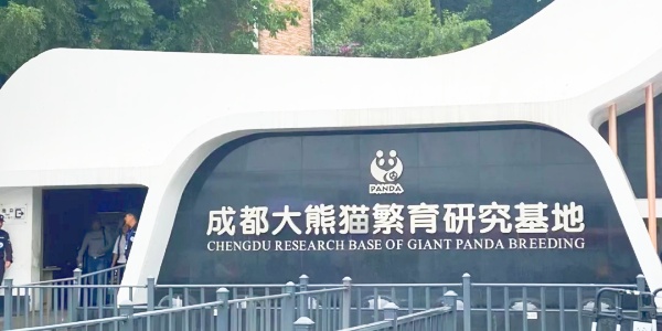 1742524221344.jpg pesona travel,panda,2.jpg