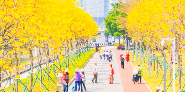 What is the best month to visit Guangzhou，1.jpg