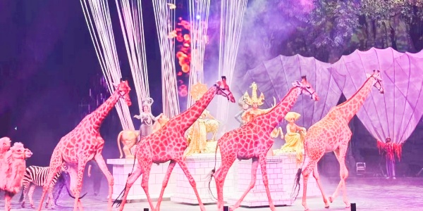 Guangzhou Changlong,3.jpg