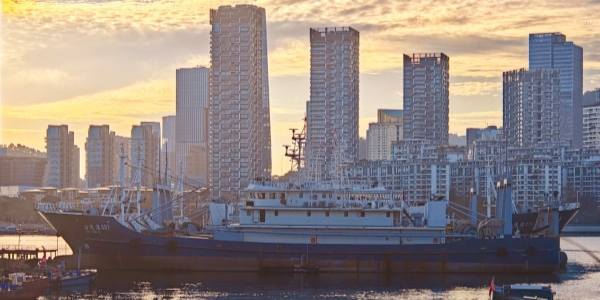 1743404512317.jpg Shekou Fishery Street.jpg