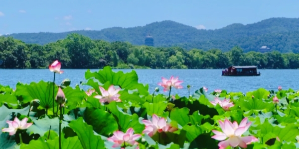 1743563358083.jpg West Lake1.jpg