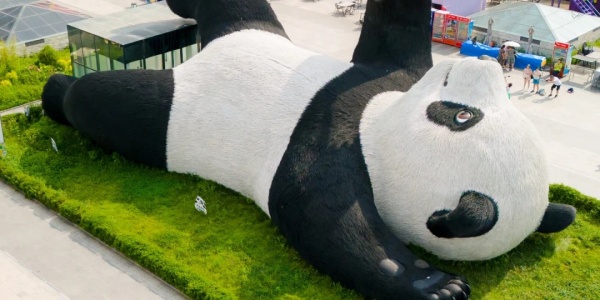 1743566913296.jpg yangtianwo.jpg