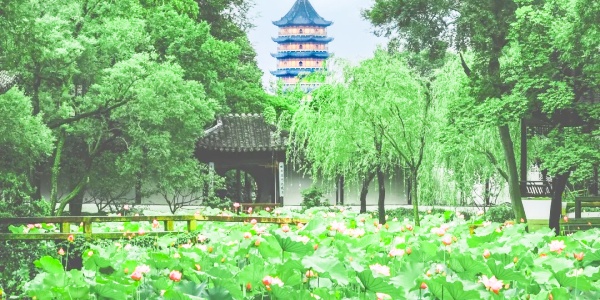 What is the most famous garden in Suzhou,Humble Administrator's Garden,green.jpg
