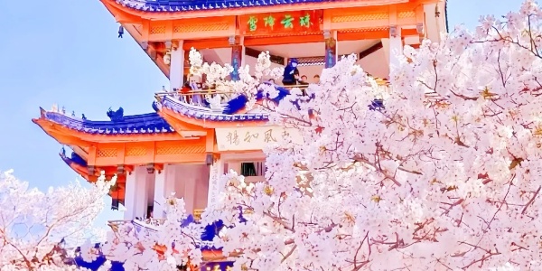 Things to do in Jiangsu,What is Jiangsu famous for,china tour,Yuantouzhu.jpg