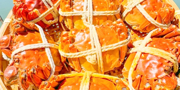 What is so special about hairy crab,Biluochun tea benefits,crab.jpg