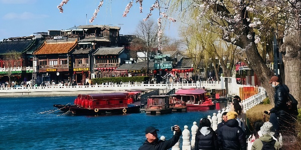 1744359979136.jpg shichalack.jpg