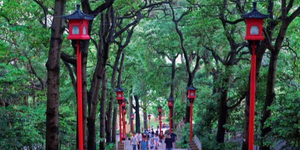 best time to visit guangzhou,china travel,pesona travel,2.jpg