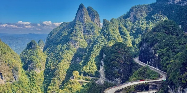 1744792512770.jpg zjj (2).jpg