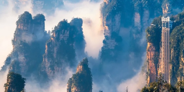 1744968360543.jpg zjj3.jpg