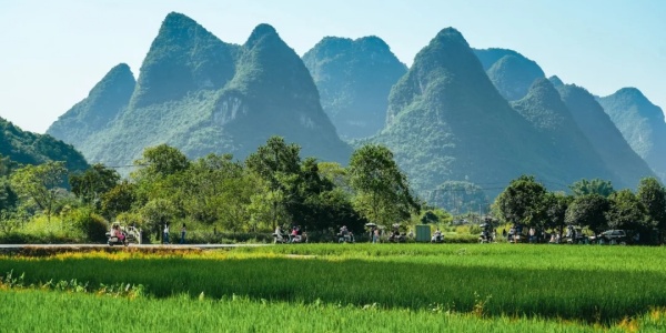 1745222565694.jpg slhl.jpg