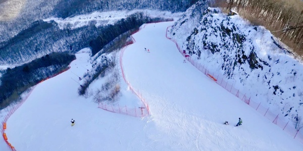 1745377114930.jpg 10.jpg