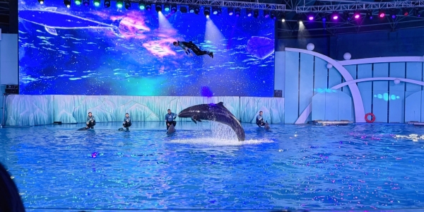 1746525799291.jpg qingdao.jpg