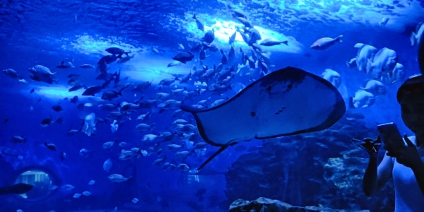 1746525807581.jpg tianjin.jpg