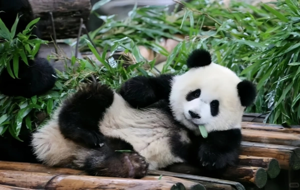 行程图片