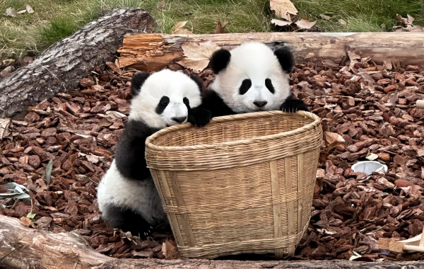 行程图片
