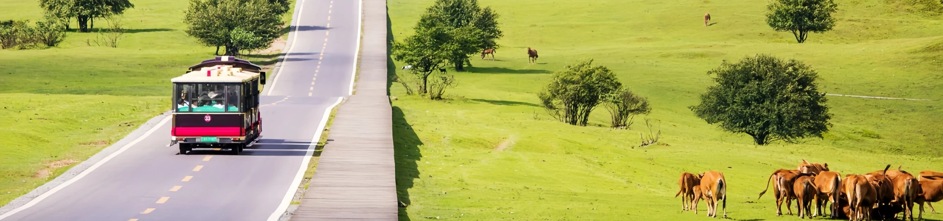 Fairy Mountain National Forest Park