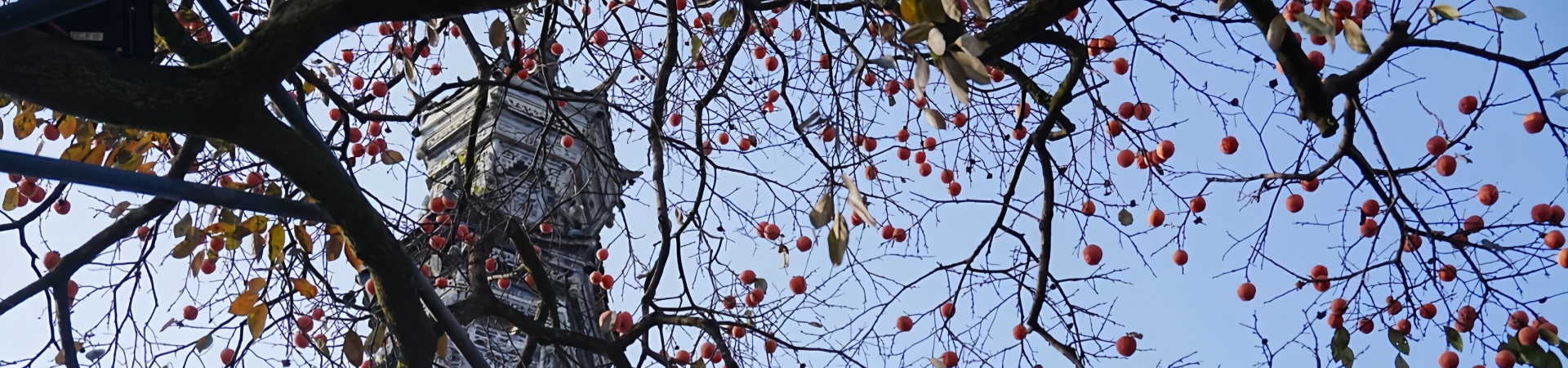 Jiezi Antigua ciudad