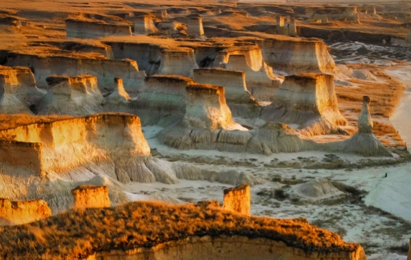 Datong Clay Forest