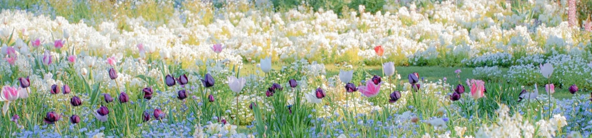 Beijing Botanical Garden