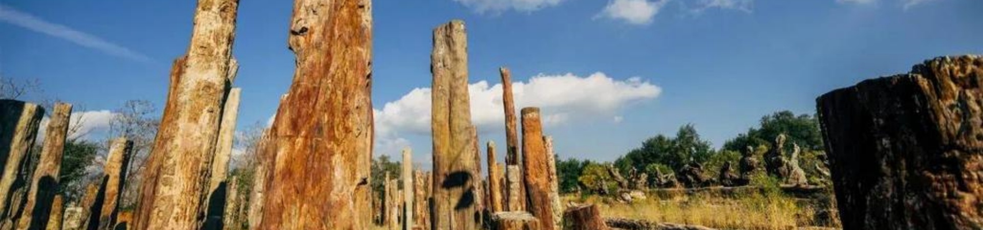 Xinjiang Ancient Ecology Park