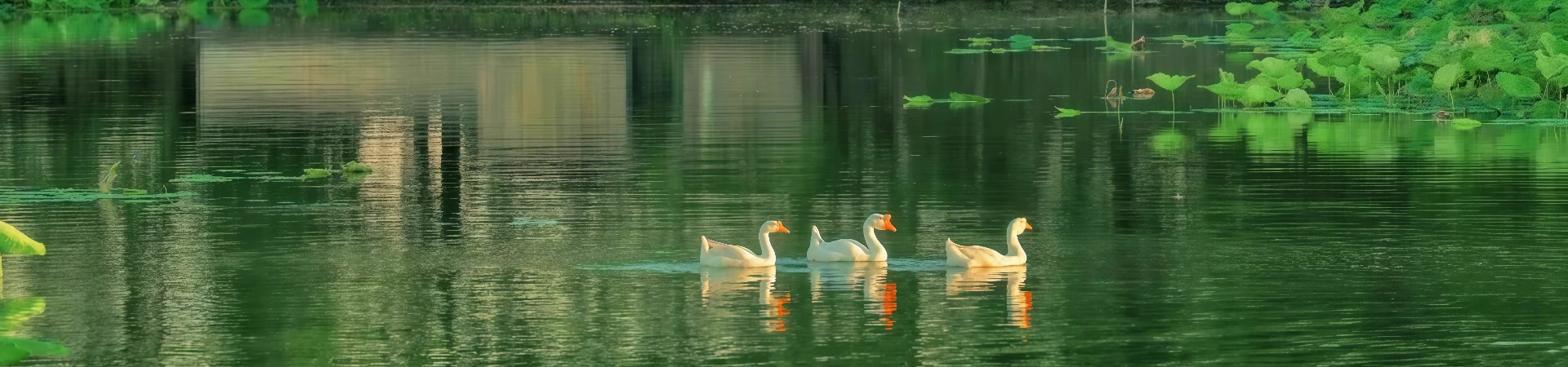 Chengkan Ancient Village