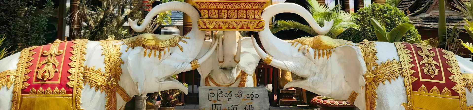 Wild Elephant Valley