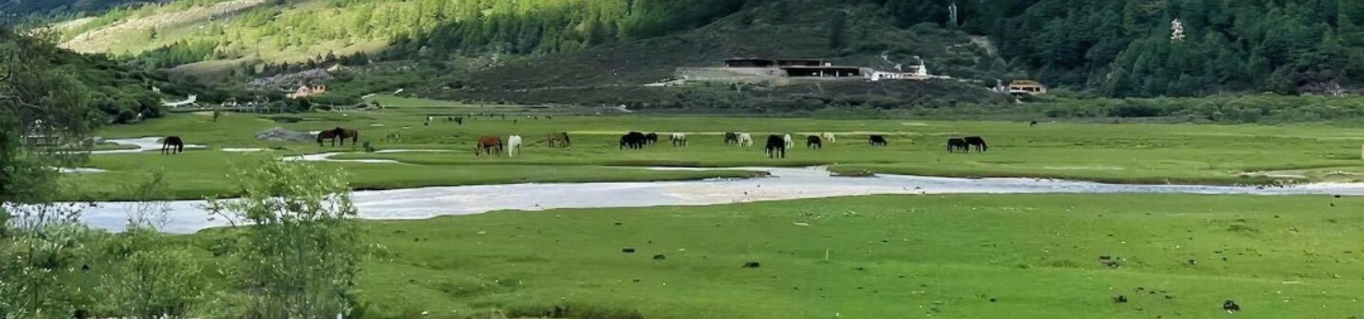 Daocheng Yading: The Last Pure Land on the Blue Planet
