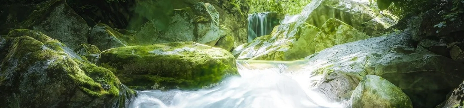 Taiping National Forest Park