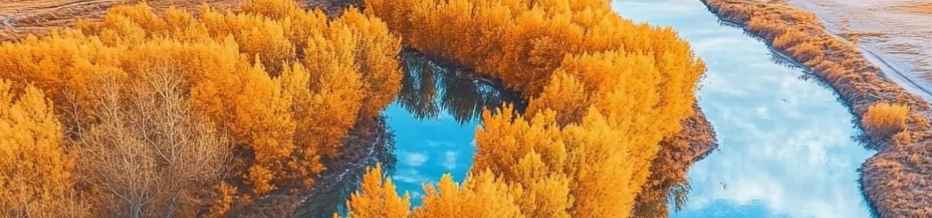 Ejina Populus Euphratica Forest