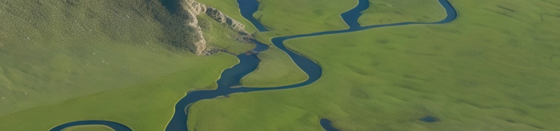 Bayinbuluke Grasland