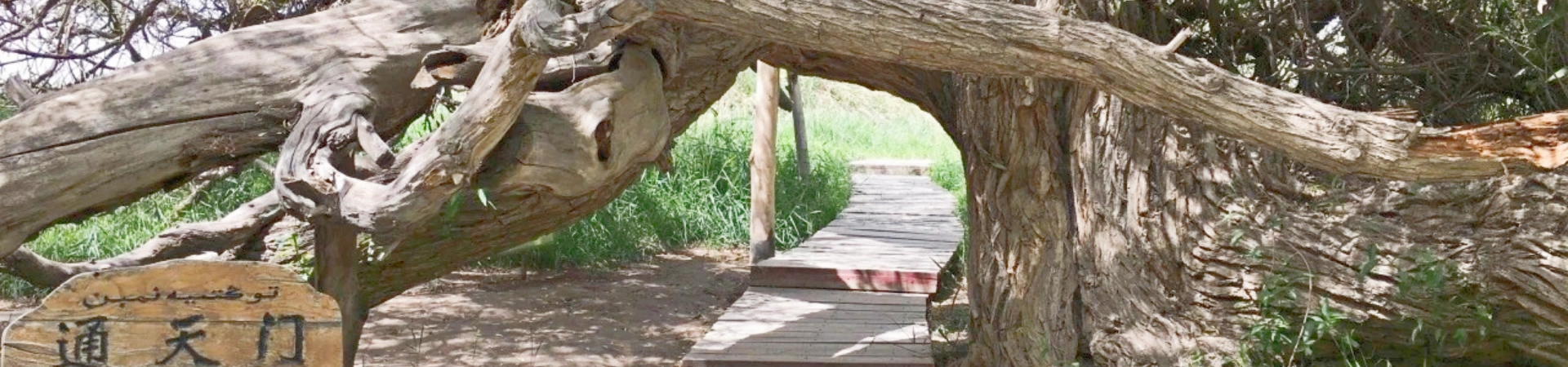 Tianshan Shenmu Garden