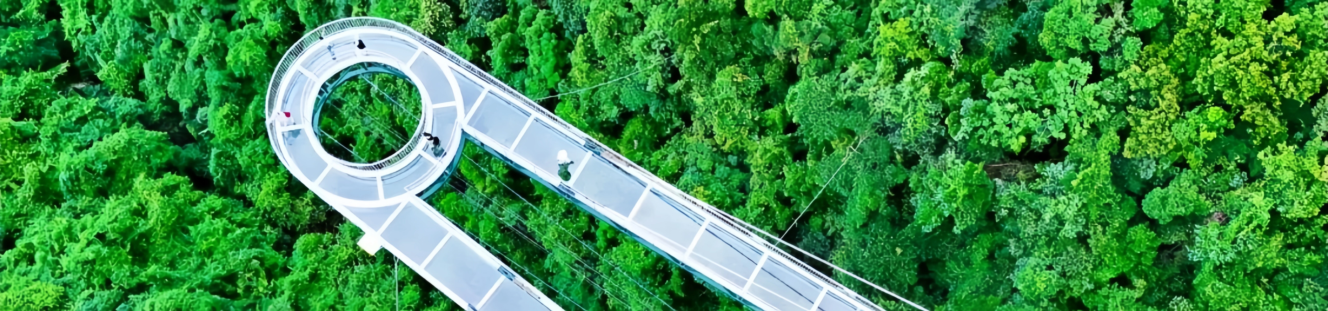 Yanoda Rainforest Zone de tourisme culturel