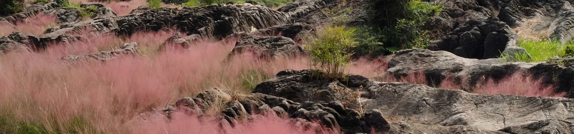 Taohuayuan Scenic Area