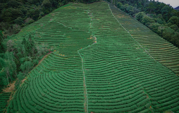 Furong Ancient Town