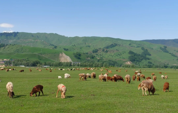 Furong Ancient Town
