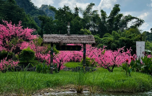 Furong Ancient Town