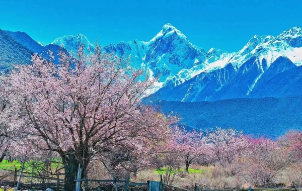 Furong Ancient Town