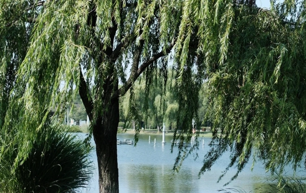 Furong Ancient Town