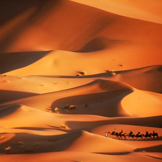 Legendary Silk Road 13-Day Tour