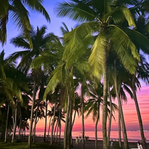 Sanya cultural coastal 3-Day Tour