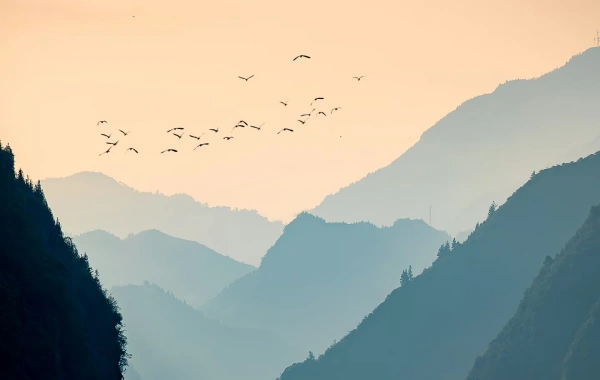 5 Days Zhangjiajie Tour